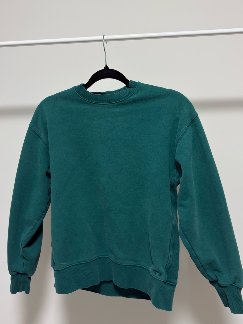 Aritzia Tna Sweatfleece Cozy Fleece Boyfriend Crew - Teal Green